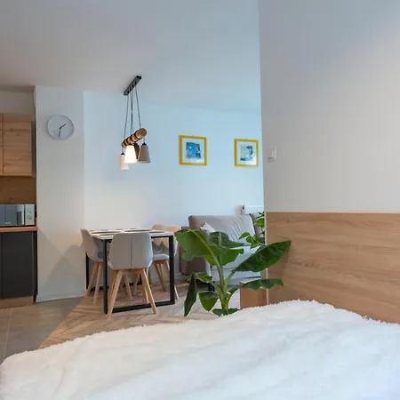 شقة Kilinskiego 17 شكلارسكا بوريبا